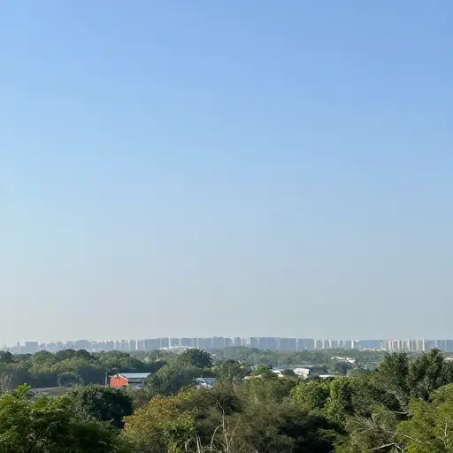 你可以看到城市在远处。
