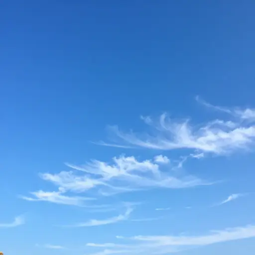 那天不仅天气宜人，天空也呈现出一种绚丽的蓝色调。