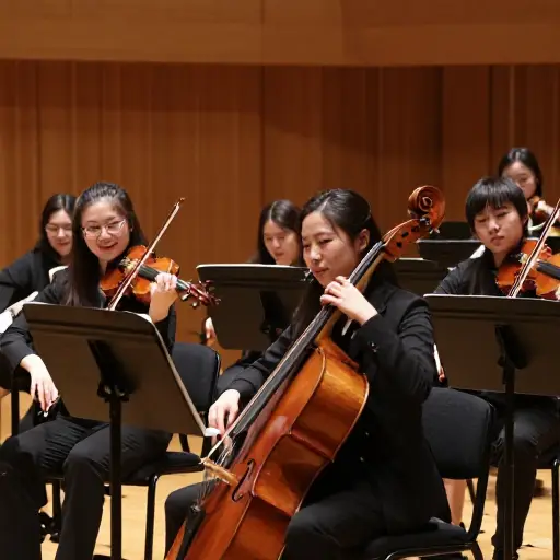 他们旨在让古典音乐对年轻听众更易于理解。