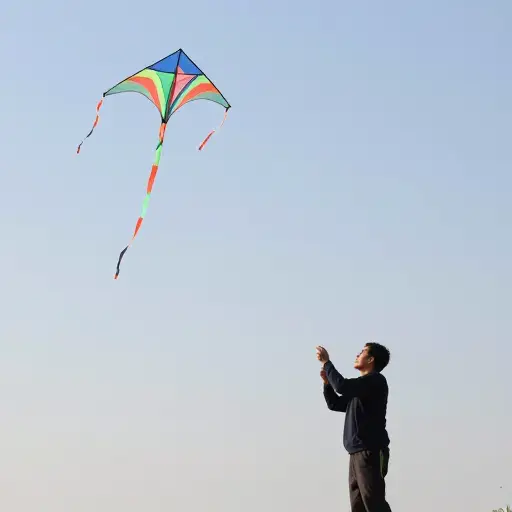 风筝在空中做各种特技表演。