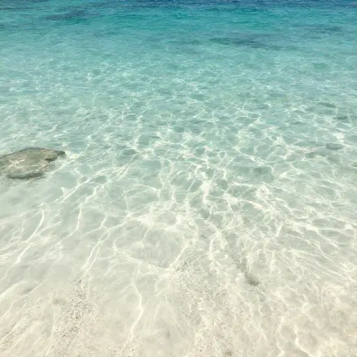 你会惊叹于浅海清澈的水。