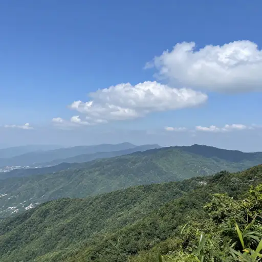 从山顶望去，景色真是美得令人惊叹。
