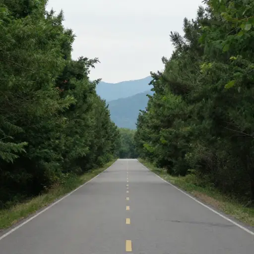 我们在这里遇到任何人的可能性非常低。