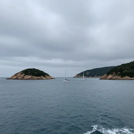 暴风雨来临前，所有的船只都在寻找安全的避风港。