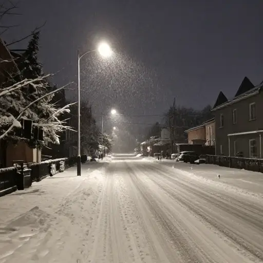 夜间下了一场新雪。