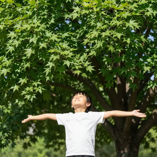 植物有助于保持空气清新。