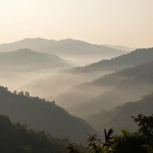 一层薄雾整天都悬浮在山谷中。