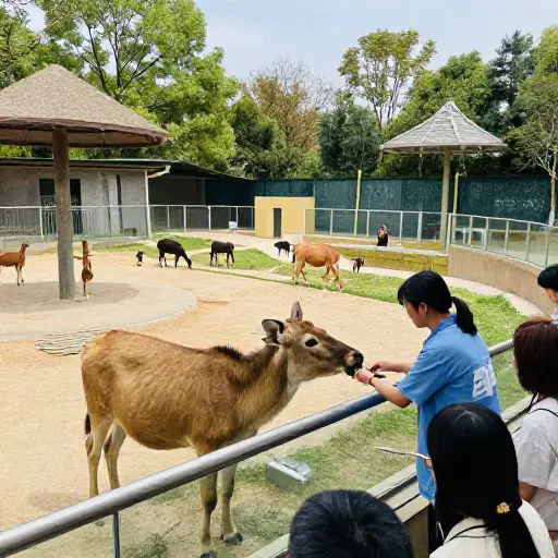许多人认为现代动物园提供的照料是足够的。