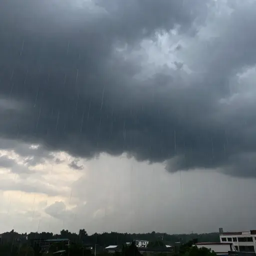 天很快就要黑了，雨还下得很大。