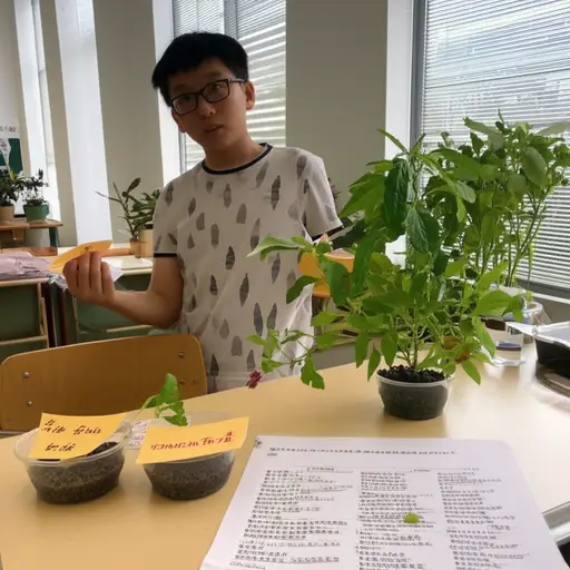 我的科学项目是关于植物的。