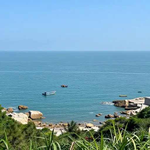 眺望海湾，我可以看到船只散布在海岸和遥远的地平线之间。