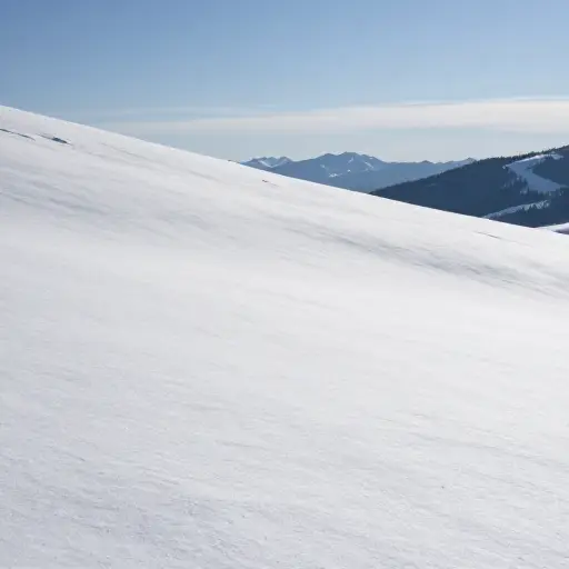雪覆盖了山坡。