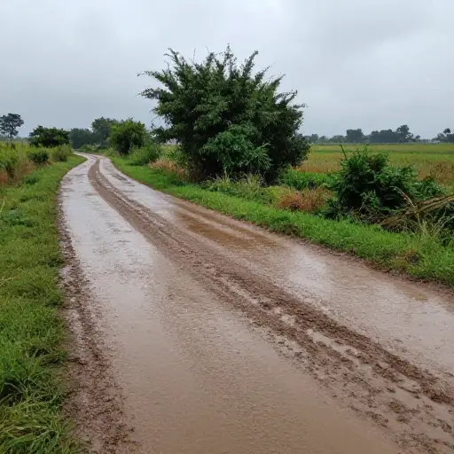 雨后，小路上覆盖着厚厚的泥浆。