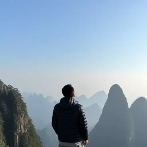 他抬头看向远处的山峰。
