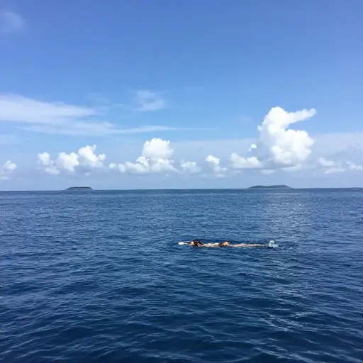 你曾经在海里游过泳吗？