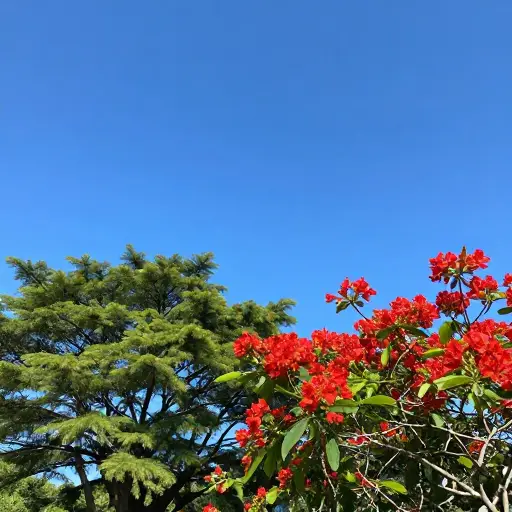 图像中的色彩很清晰。