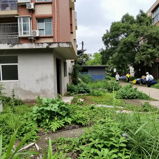目前，改善设施是低优先级。