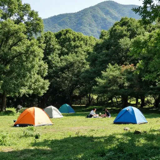 夏天很多人去山里露营。