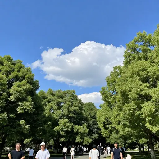 那是美妙的一天。