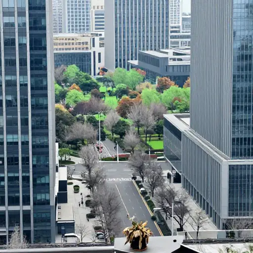 这座城市应该有更多的绿地。