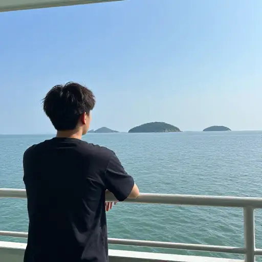 我登上了前往那座岛的渡轮。