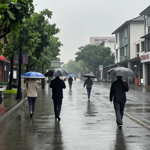 这已经是连续第二天下午下大雨了。