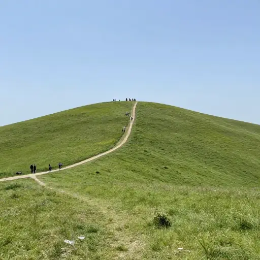 这座小山坡度平缓，非常适合休闲散步。