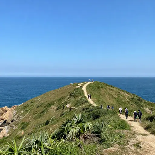 这片海岸线尤其受徒步旅行者的欢迎。