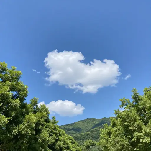 今天的天气真是太棒了！