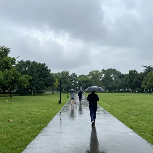 上午天气很好，但下午下了一些阵雨。