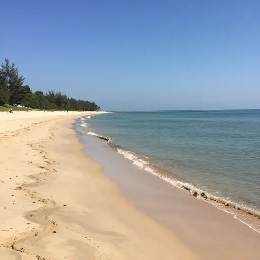 这片海岸线仍然保持着原始风貌，吸引着自然爱好者。