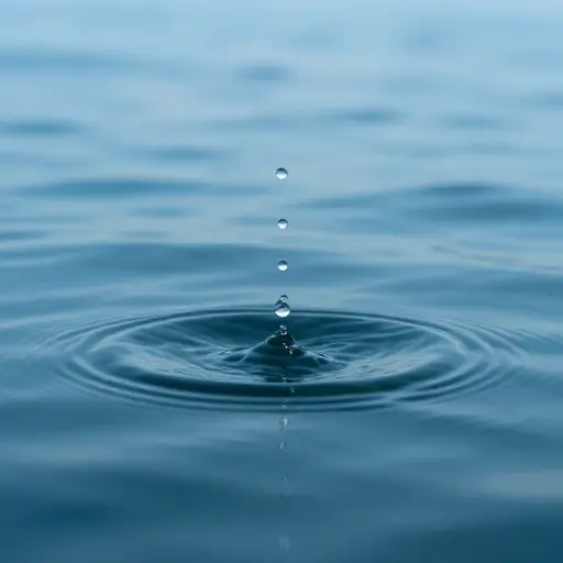 自然这只是沧海一粟，但我们可以希望其他人会模仿我们的行为。