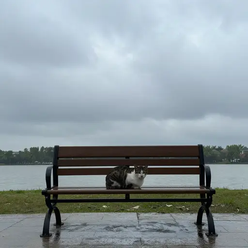看起来好像要下雨了。