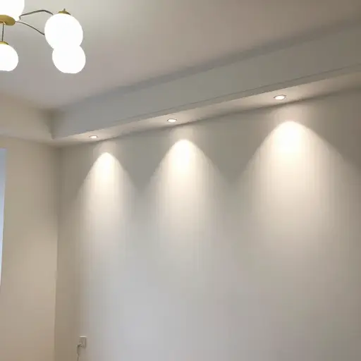 我们家里所有的灯都需要电才能工作。