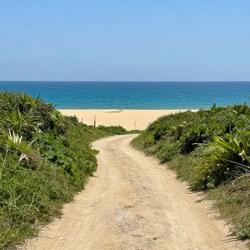 那条小路通向海滩。