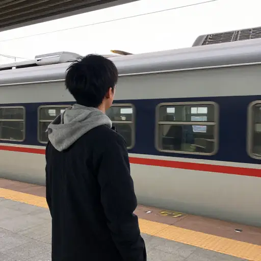 我在站台上看着火车经过。