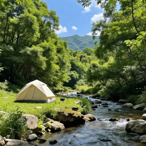 我真的很喜欢露营地周围的风景。