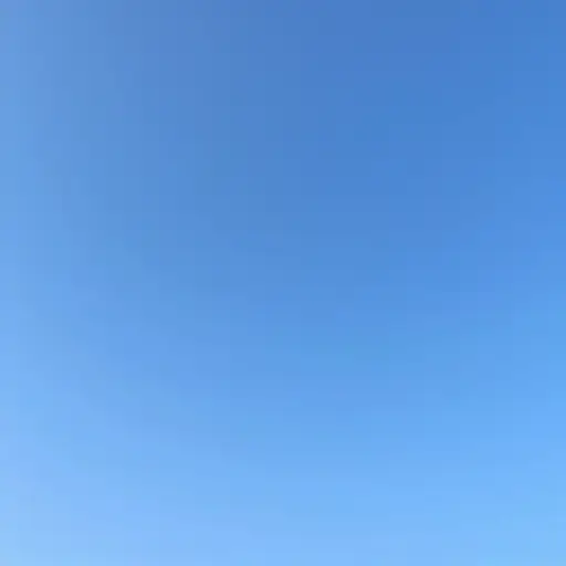 今天的天空是明亮的蓝色。