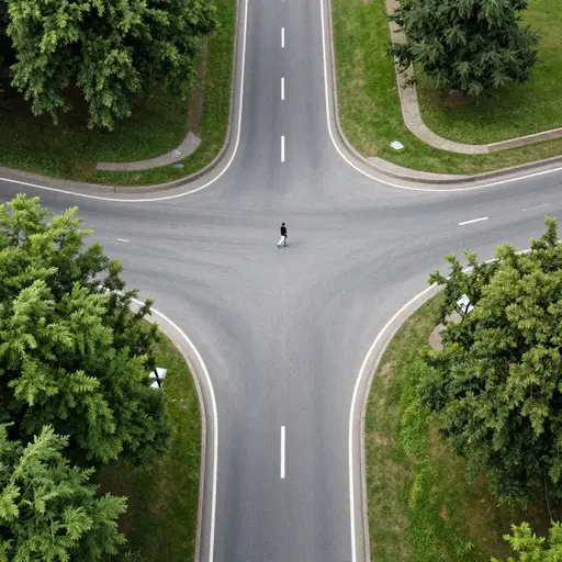 走右边的第三条路。
