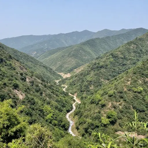 从山顶上，我们欣赏到了下方山谷宁静的景色。
