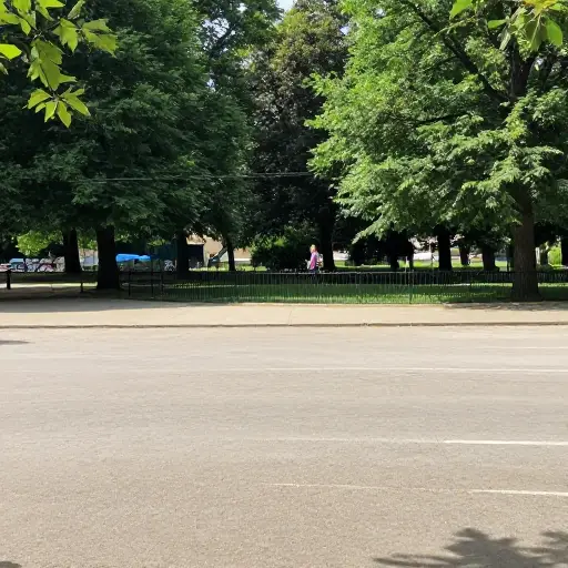 我能在远处看到玛丽。