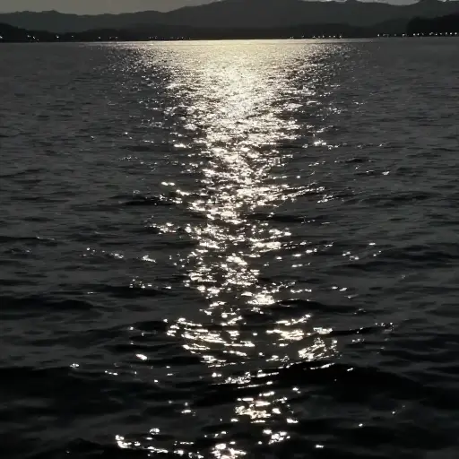 月光让湖面像银子一样闪闪发光。