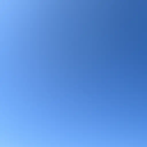 天空是一片明亮的蓝色。