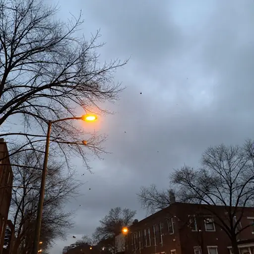看起来好像要下雪了。