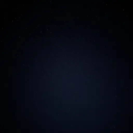 尽管天空漆黑，星星依然明亮地闪烁。