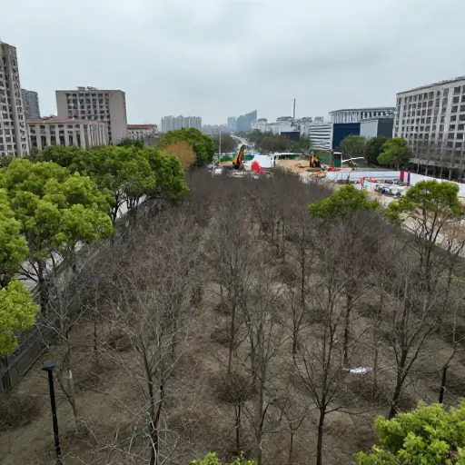 我们难道不能做点什么来防止我们剩下的这一小片自然地被破坏吗？
