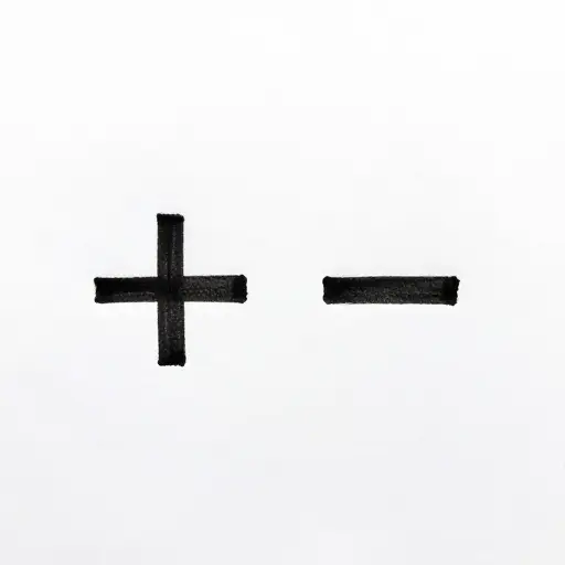 + 和 - 是数学符号。