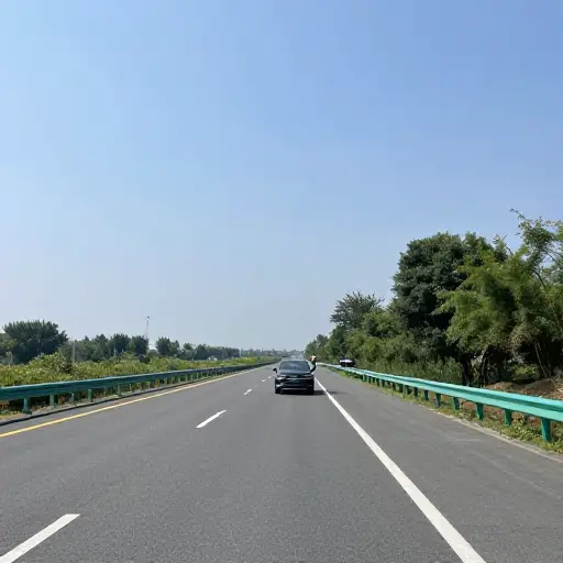 如果你需要帮助，就挥手拦下一辆过路车。