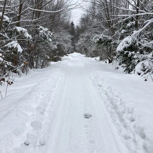 我清除了小路上的雪。