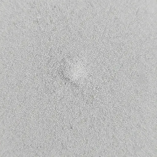 孢子被加工成细小的颗粒。